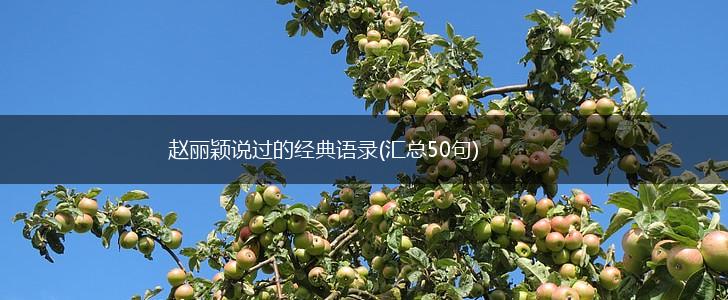 赵丽颖说过的经典语录(汇总50句),第1张
