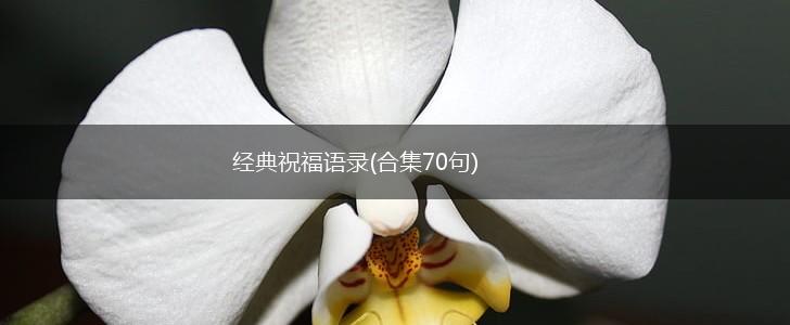 经典祝福语录(合集70句),第1张