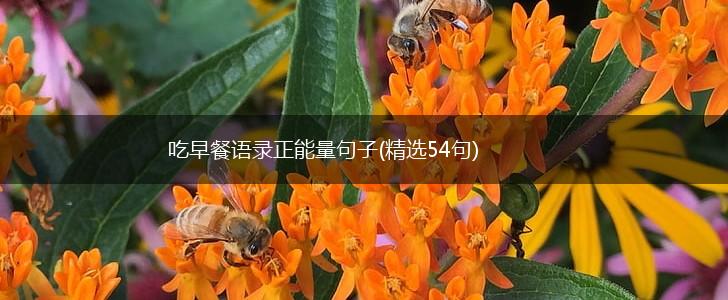 吃早餐语录正能量句子(精选54句),第1张