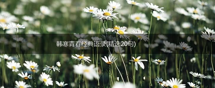 韩寒青春经典语录(精选20句),第1张