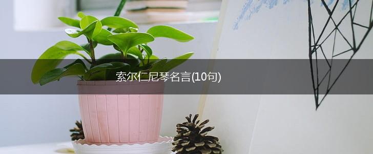 索尔仁尼琴名言(10句),第1张 索尔仁尼琴名言(10句),第1张