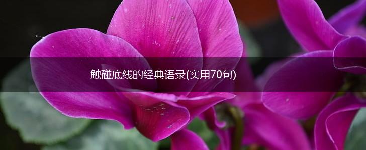 触碰底线的经典语录(实用70句),第1张
