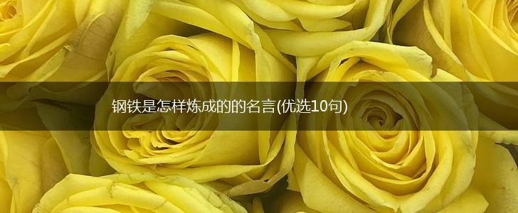 钢铁是怎样炼成的的名言(优选10句),第1张