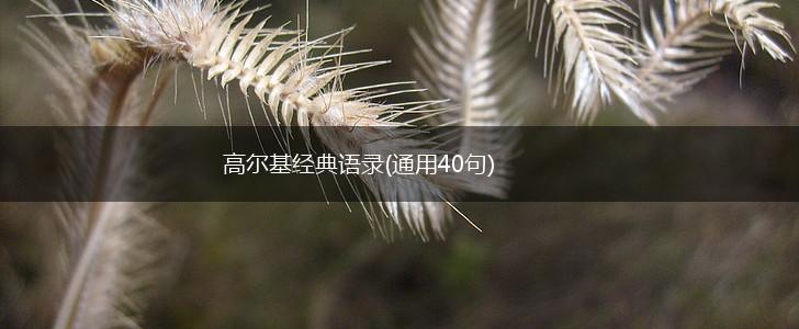 高尔基经典语录(通用40句),第1张