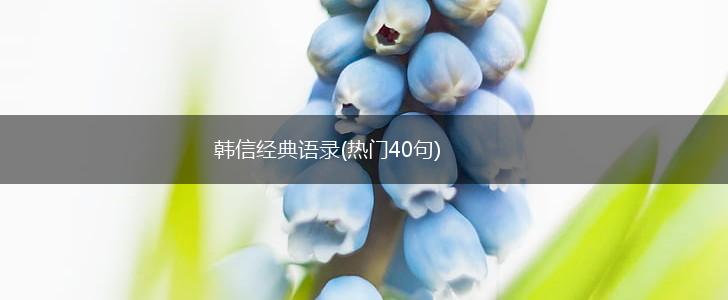 韩信经典语录(热门40句),第1张