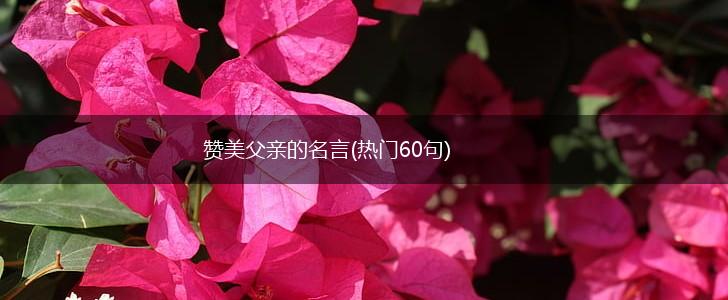 赞美父亲的名言(热门60句),第1张