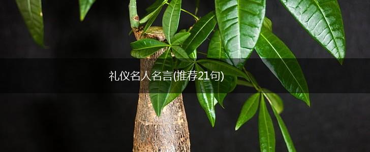 礼仪名人名言(推荐21句),第1张 礼仪名人名言(推荐21句),第1张