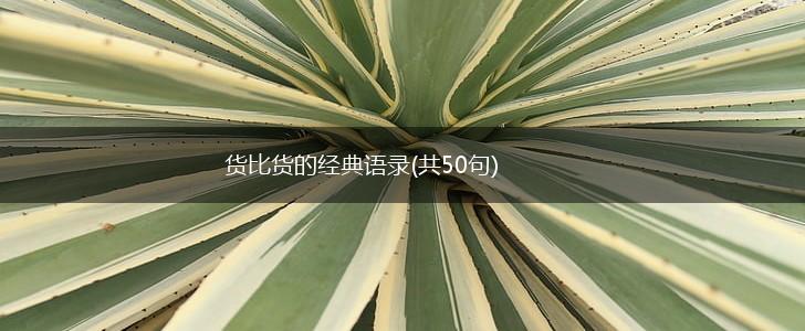 货比货的经典语录(共50句),第1张