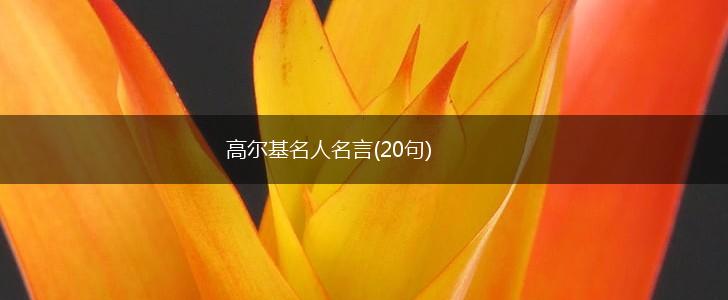 高尔基名人名言(20句),第1张