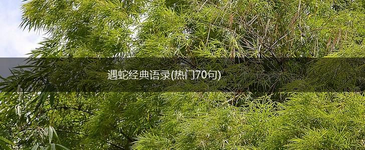 遇蛇经典语录(热门70句),第1张