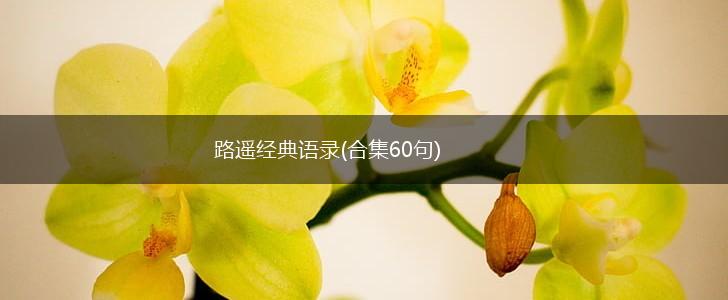 路遥经典语录(合集60句),第1张