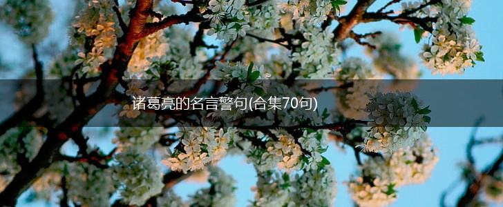 诸葛亮的名言警句(合集70句),第1张 诸葛亮的名言警句(合集70句),第1张