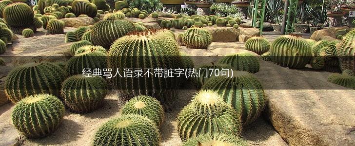 经典骂人语录不带脏字(热门70句),第1张