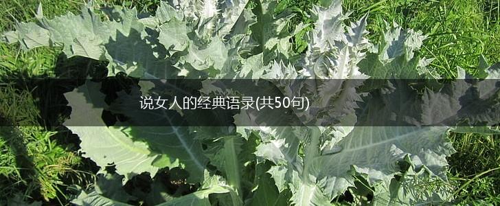 说女人的经典语录(共50句),第1张