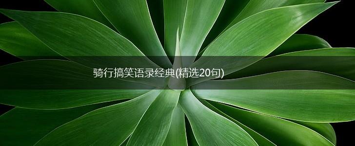 骑行搞笑语录经典(精选20句),第1张