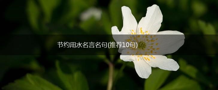 节约用水名言名句(推荐10句),第1张 节约用水名言名句(推荐10句),第1张