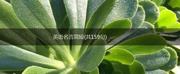 英语名言简短(共159句),第1张 英语名言简短(共159句),第1张