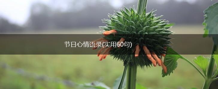 节日心情语录(实用60句),第1张