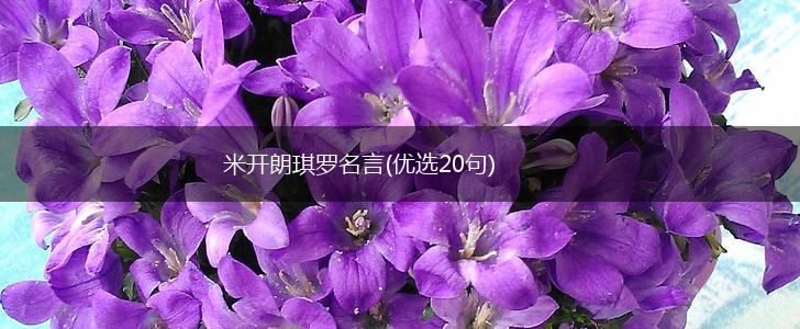 米开朗琪罗名言(优选20句),第1张 米开朗琪罗名言(优选20句),第1张