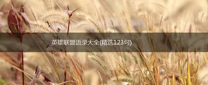 英雄联盟语录大全(精选123句),第1张