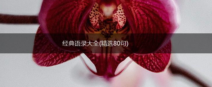 经典语录大全(精选80句),第1张