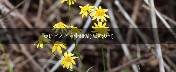 英语名人名言带翻译(优选50句),第1张 英语名人名言带翻译(优选50句),第1张