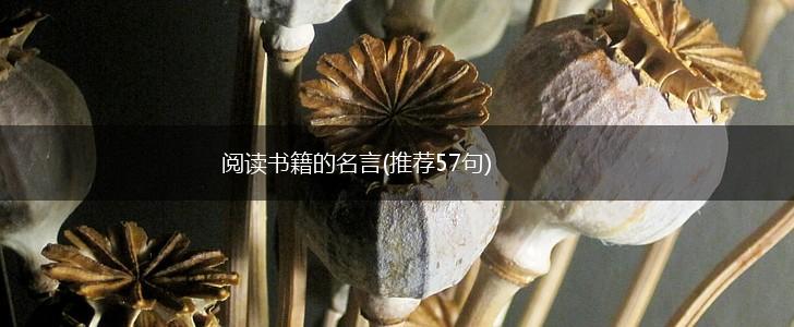 阅读书籍的名言(推荐57句),第1张