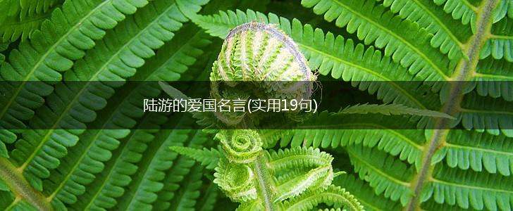 陆游的爱国名言(实用19句),第1张