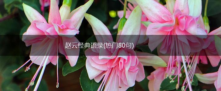 赵云经典语录(热门80句),第1张