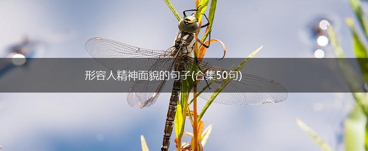 形容人精神面貌的句子(合集50句),第1张