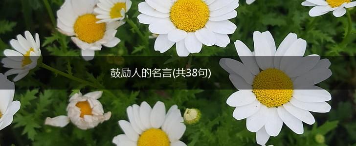 鼓励人的名言(共38句),第1张