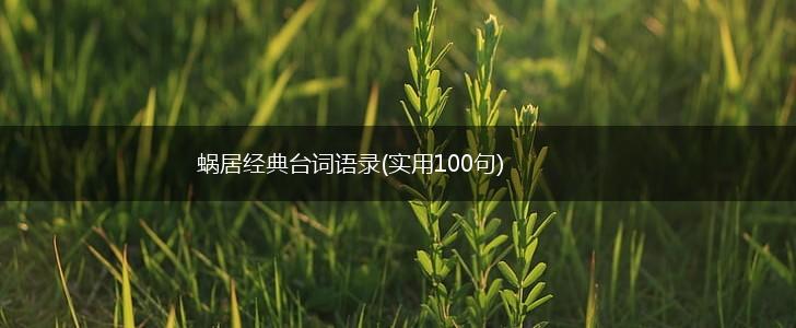 蜗居经典台词语录(实用100句),第1张