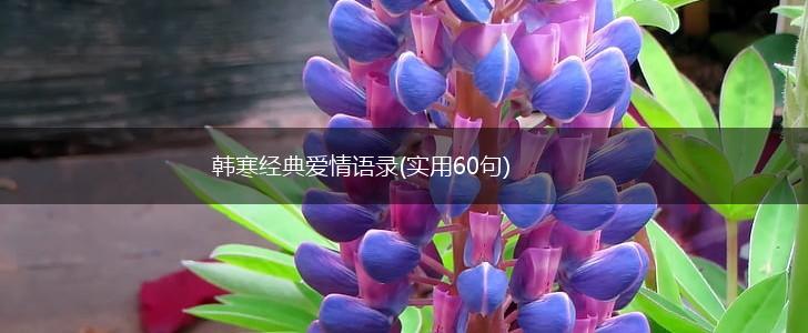 韩寒经典爱情语录(实用60句),第1张