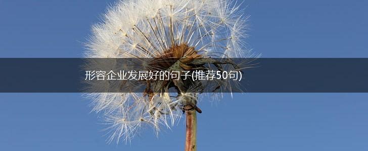 形容企业发展好的句子(推荐50句),第1张