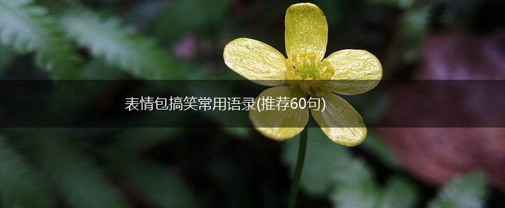 表情包搞笑常用语录(推荐60句),第1张