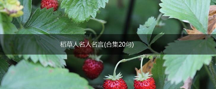 稻草人名人名言(合集20句),第1张