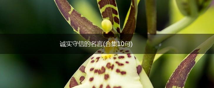 诚实守信的名言(合集10句),第1张 诚实守信的名言(合集10句),第1张