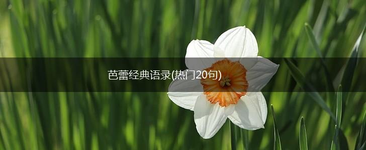 芭蕾经典语录(热门20句),第1张