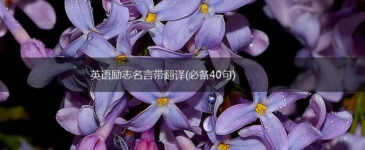 英语励志名言带翻译(必备40句),第1张