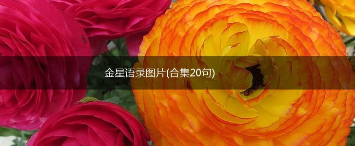 金星语录图片(合集20句),第1张