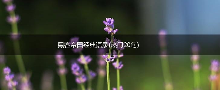 黑客帝国经典语录(热门20句),第1张