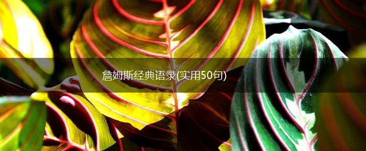 詹姆斯经典语录(实用50句),第1张