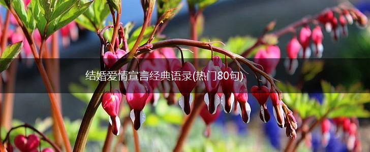 结婚爱情宣言经典语录(热门80句),第1张