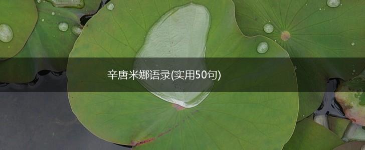 辛唐米娜语录(实用50句),第1张