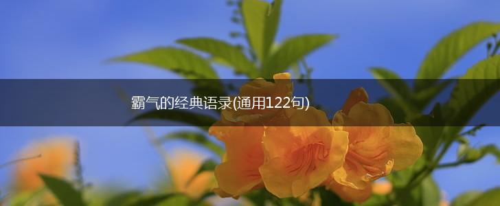 霸气的经典语录(通用122句),第1张