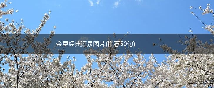 金星经典语录图片(推荐50句),第1张