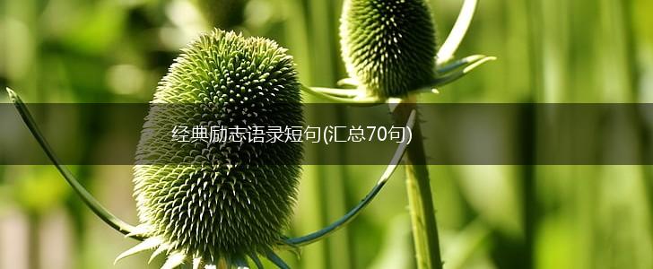 经典励志语录短句(汇总70句),第1张
