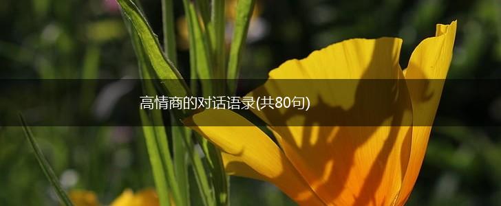 高情商的对话语录(共80句),第1张