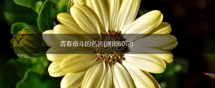 青春奋斗的名言(通用60句),第1张