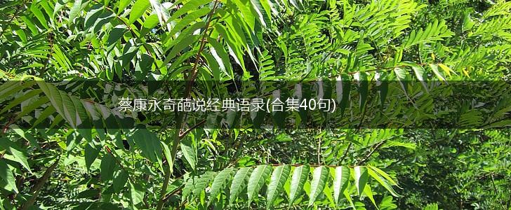 蔡康永奇葩说经典语录(合集40句),第1张